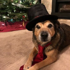 Meet your Posher, Ronaldo